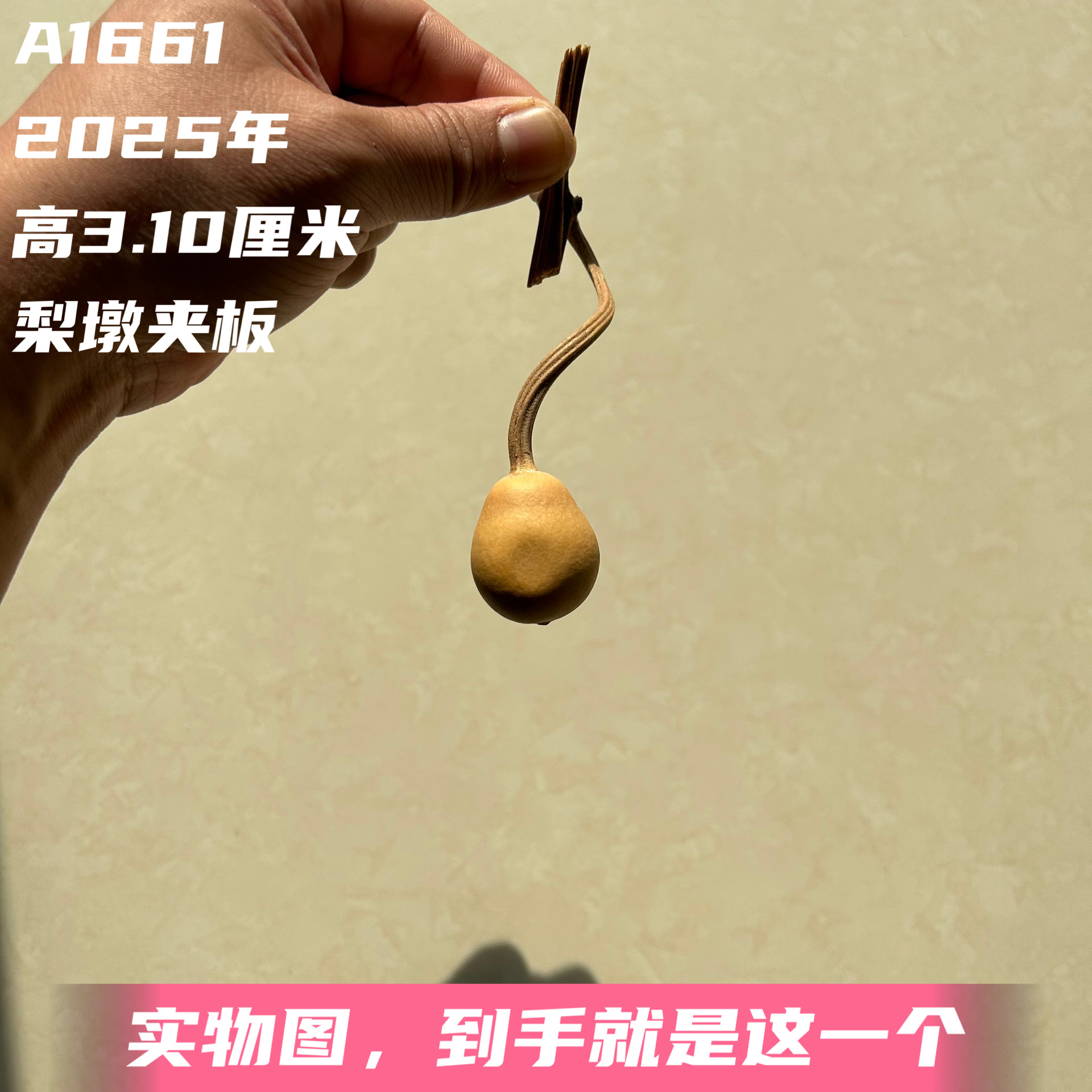 A1661高3.10厘米2025年精品手捻小云朵梨墩胖墩夹板葫芦