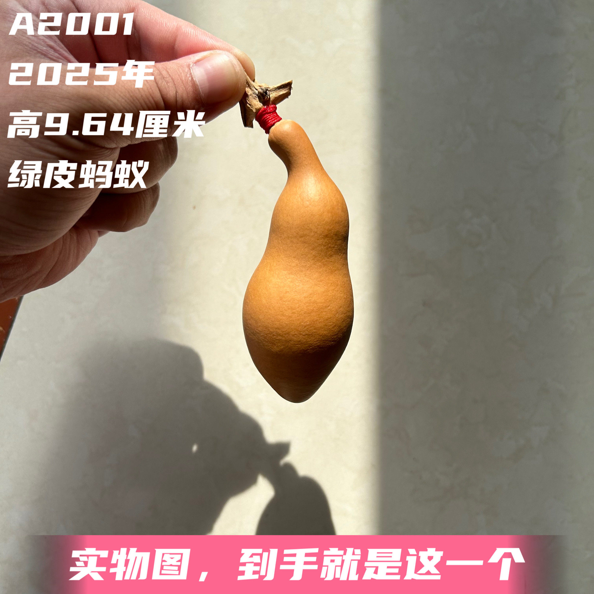A2001高9.64厘米2025年精品手捻将军肚绿皮蚂蚁肚葫芦