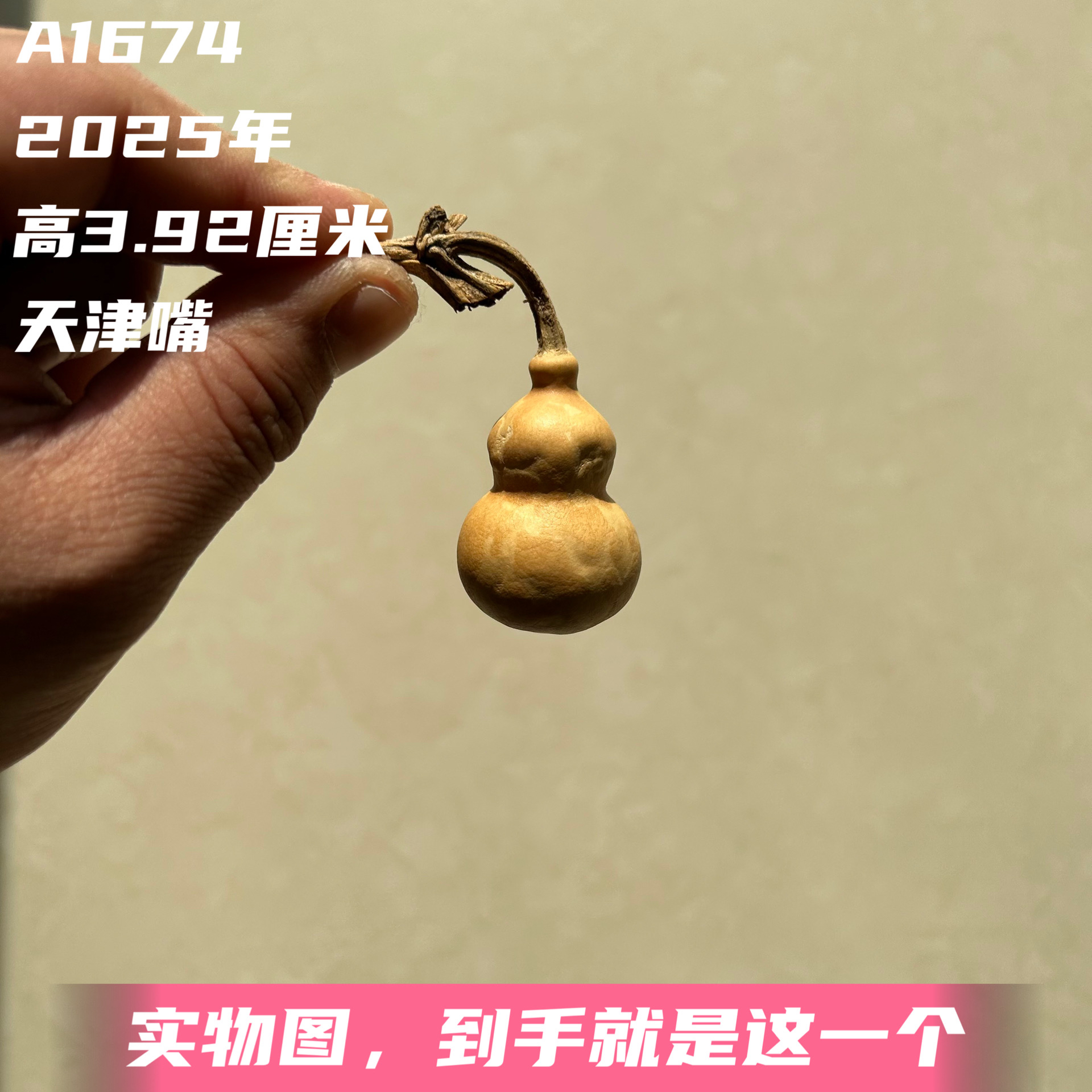 A1674高3.92厘米2025年精品手捻奶嘴花叶病天津嘴葫芦