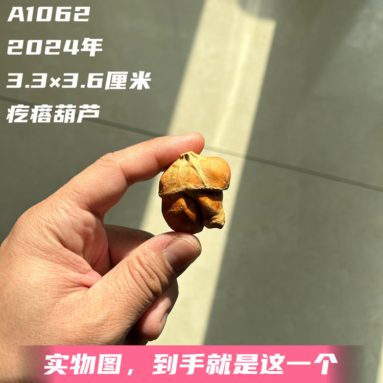 A1062高3.6厘米2024年精品异形寄生脐疙瘩葫芦天然