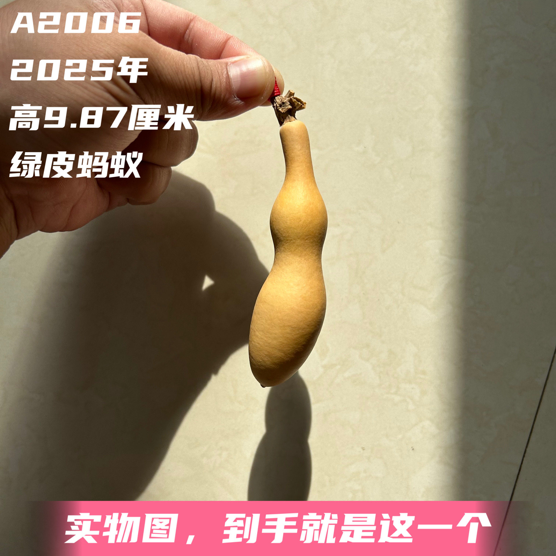 A2006高9.87厘米2025年精品手捻长修身柳叶蚂蚁肚葫芦