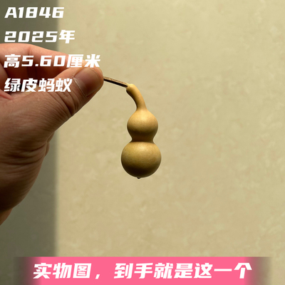 A1846高5.60厘米2025年精品手捻绿皮圆肚蚂蚁肚葫芦