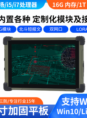WIN7WIN10麒麟Linux10寸工业三防平板电脑串口网口-40度低温军工