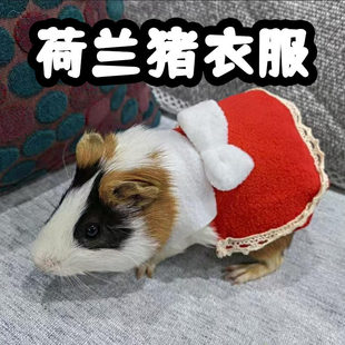 荷兰猪衣服专用可爱豚鼠冬天保暖服饰服装用品背心装扮拍照小号