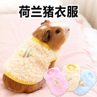 荷兰猪衣服专用豚鼠可爱搞笑拍照冬天背心服装好看保暖新款用品