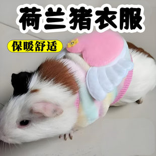 荷兰猪衣服专用豚鼠冬天背心服装可爱用品搞笑拍照保暖新款好看