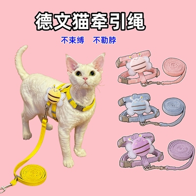 德文专用牵引绳猫咪防挣脱德国卷毛猫无毛猫溜猫绳子外出项圈小猫