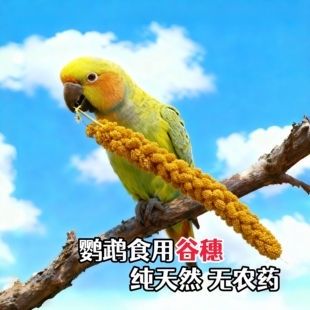 鹦鹉食用谷穗麦穗小米穗天然2025新品幼鸟学吃鸟粮鸟零食仓鼠磨牙