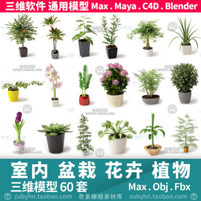 室内盆栽多肉植物花卉仙人掌菠萝树3d三维模型mayamaxc4dBlender