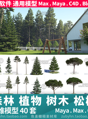 森林植物树木松树柏树40套3d三维模型mayamaxc4dblender