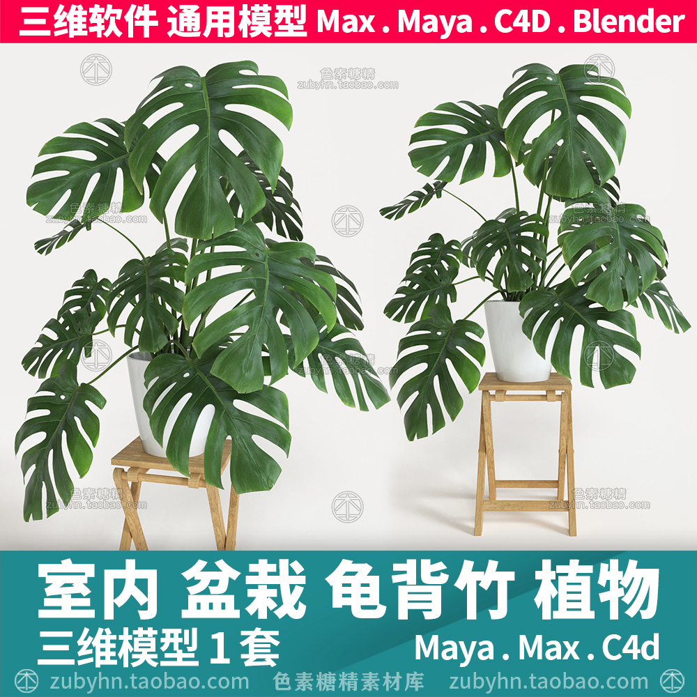 室内植物盆栽龟背竹盆栽三维模型3d模型maya3dmaxc4dblender