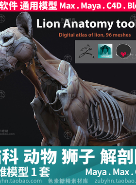 猫科动物狮子动物解剖图解剖学3d三维模型1套maya3dmaxc4dblender