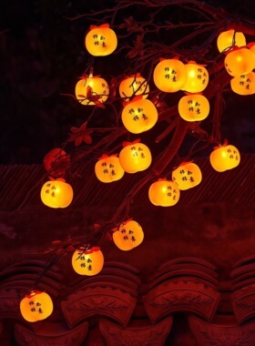 led柿子灯串户外挂树上的小红灯笼庭院新年装饰灯小彩灯氛围挂灯