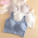 运动带胸垫吊带小背心 夏季 美背内衣女无钢圈文胸一体薄款 网红爆款