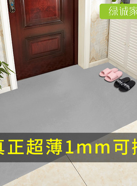 超薄地垫1mm不卡门pvc可擦洗入户门玄关防水防滑地毯进门门口垫子