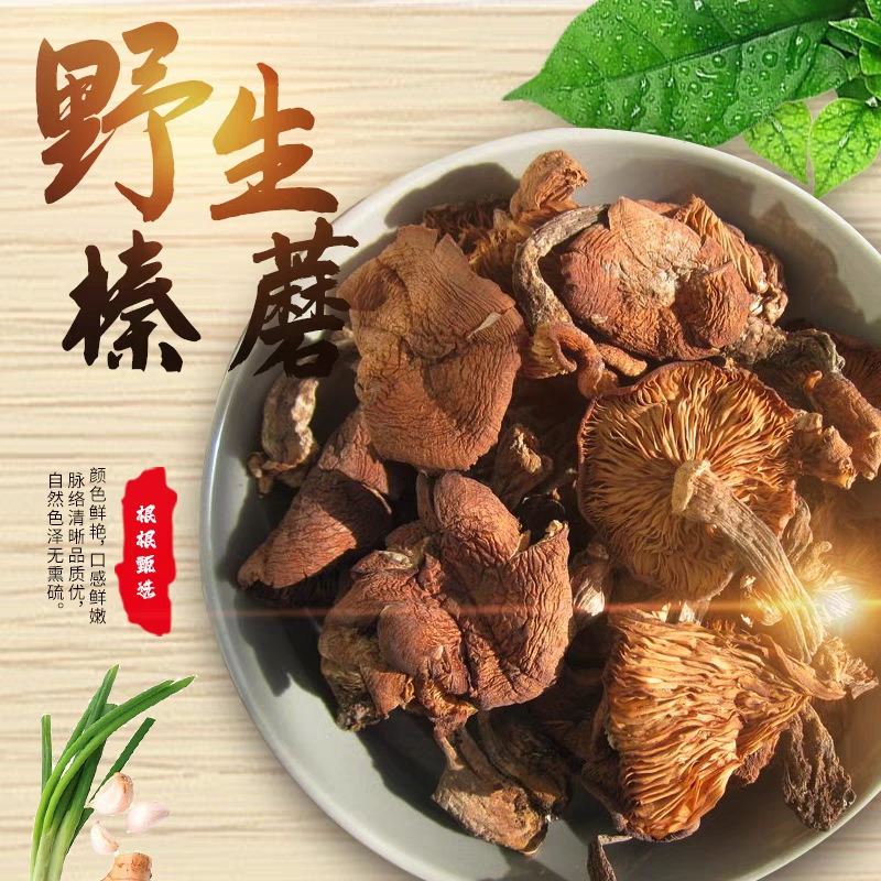 榛蘑干货500g 特级东北野生蘑菇无根 东北土特产小鸡炖蘑菇榛蘑丁