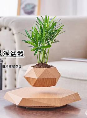 磁悬浮盆栽桌面创意摆件生日礼物