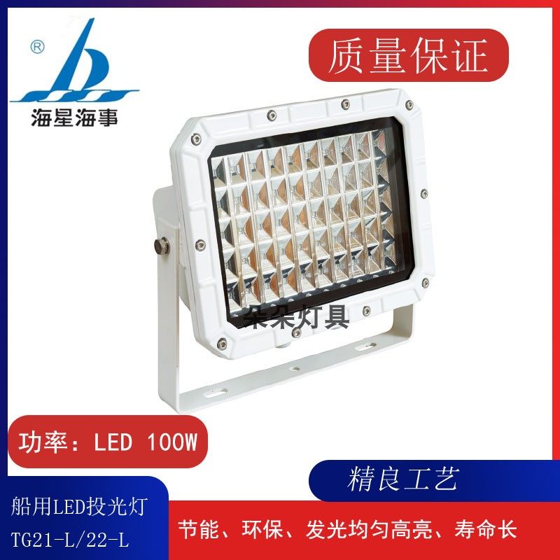 海星海事TG21-L船用户外LED不锈钢投光灯射灯TG22-L照灯100W 200W