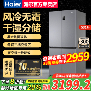 【补贴20%】海尔531升十字对开门冰箱家用BCD-531WGHTD59SHU1