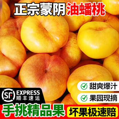 蒙阴每天现摘手挑大果顺丰直发