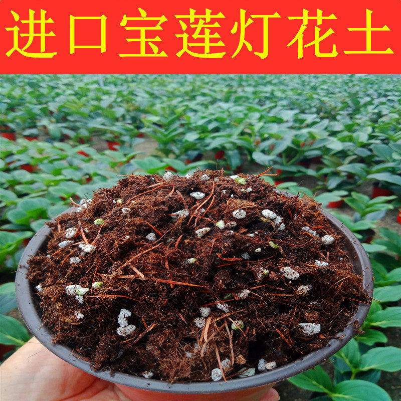 宝莲灯有机营养土专属丹麦进口图片