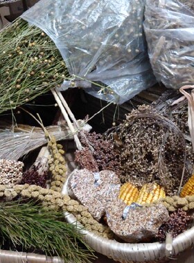 100克组合穗自由搭配谷黍麦麻豆小玉米高粱磨牙苹果枝粮块都有