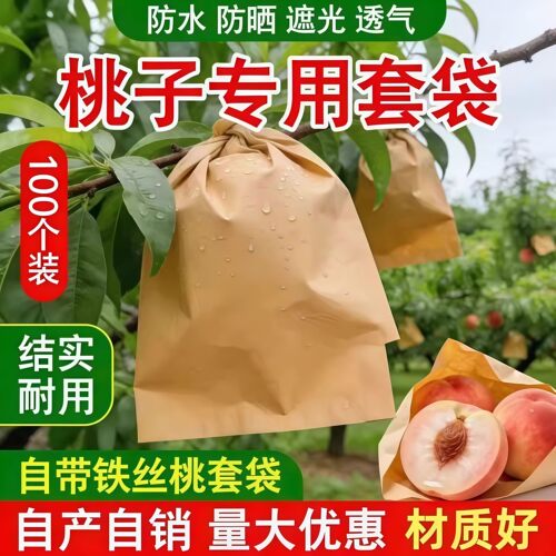 桃子专用套袋结实耐用防鸟防虫