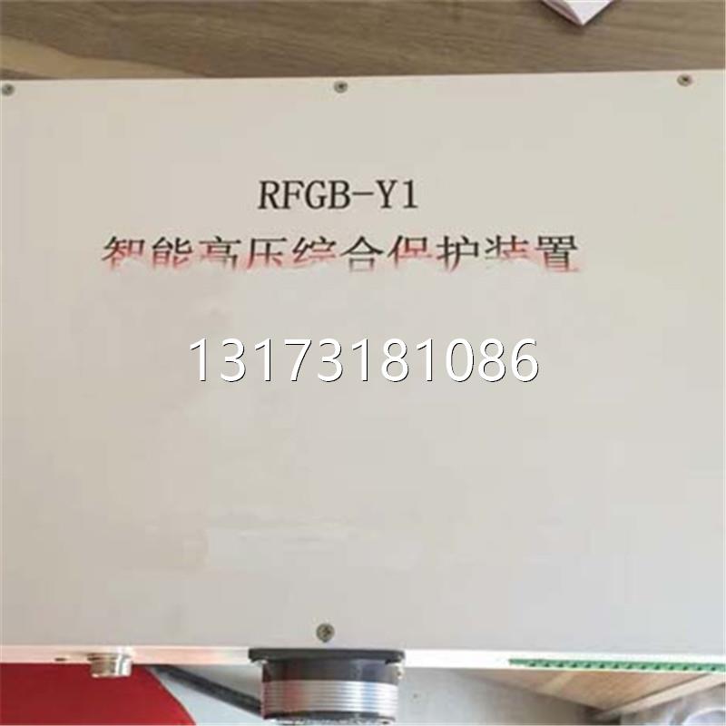 济源瑞丰RFGB-Y1保护器