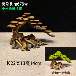 莫斯树2号链接造景懒人鱼缸造景鱼缸生命之树入缸一木成景