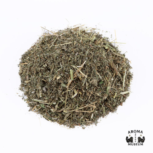 香料博物馆 苦艾 Absinthium 中亚苦蒿
