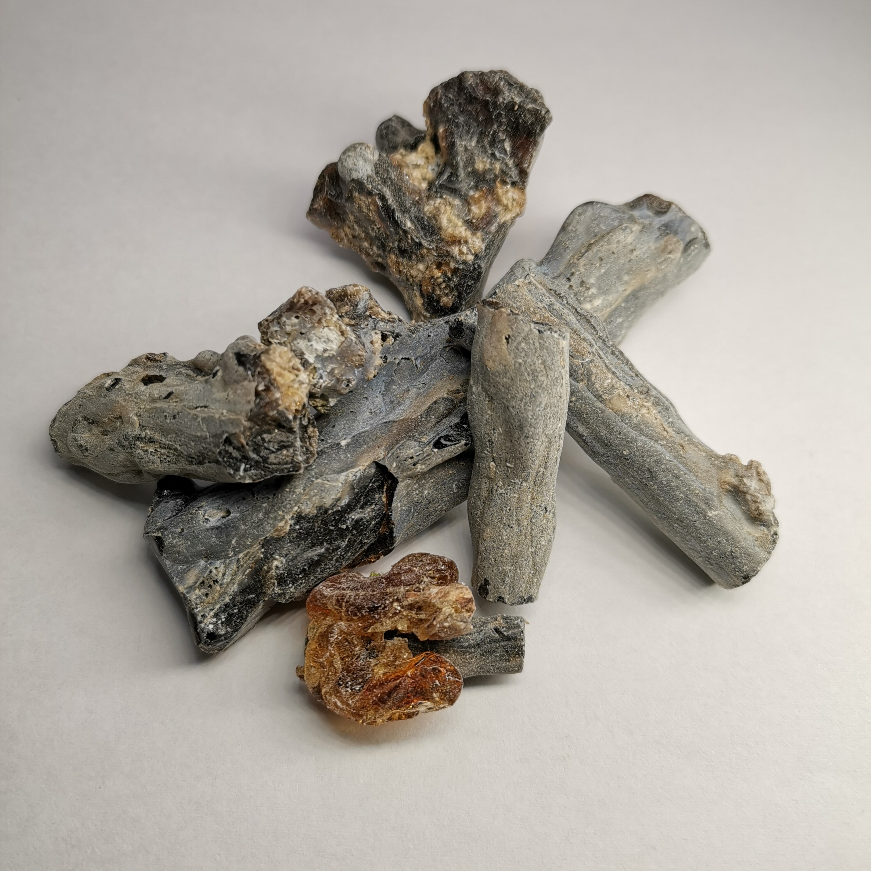 植物炼金术 橄榄香 詹糖香广东橄榄树结香合香制香原料