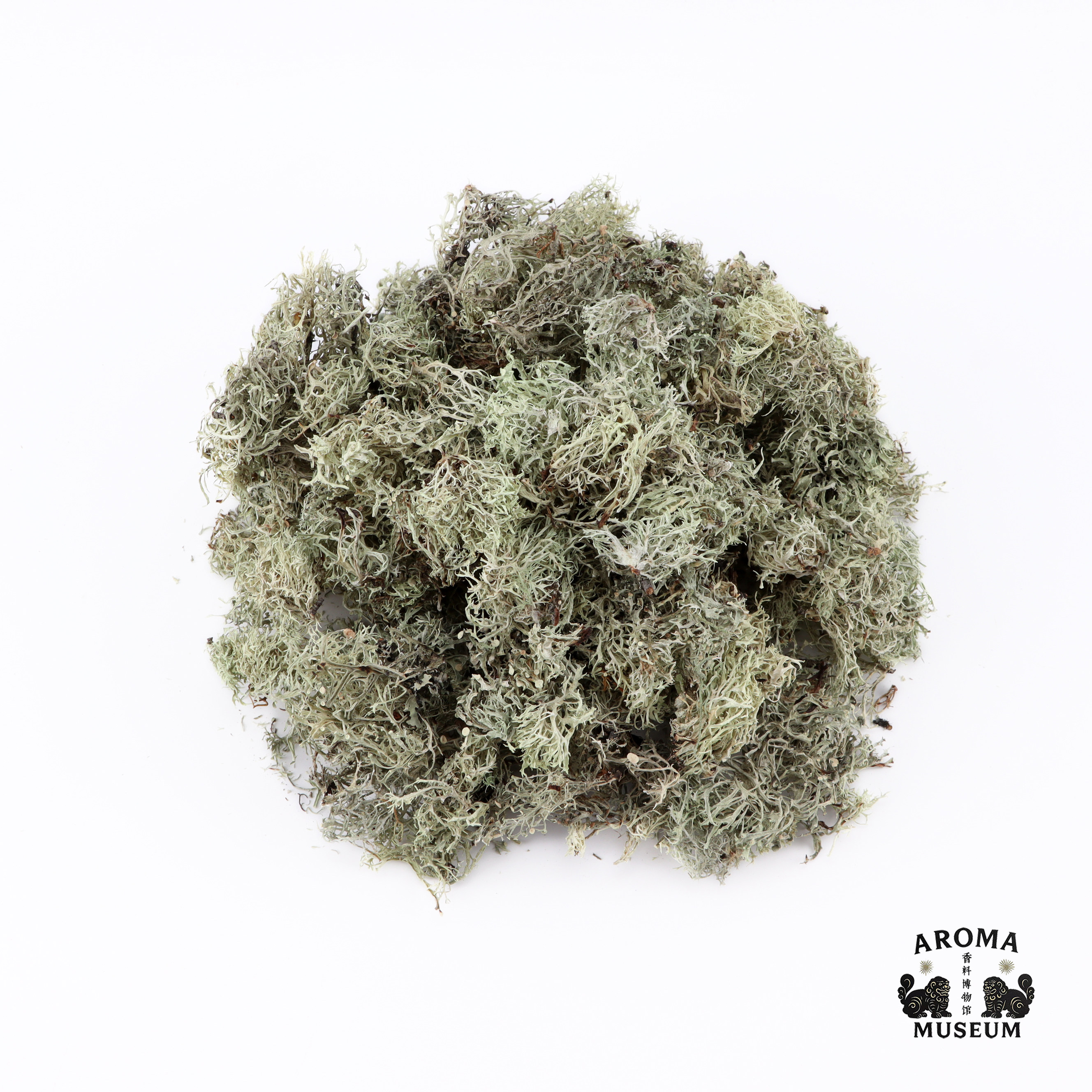 香料博物馆 树苔 中国橡苔云南丛生树花苔香合香制香原料