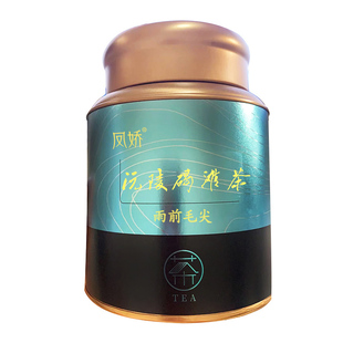 凤娇绿茶  雨前茶沅陵碣滩茶毛尖250g罐装