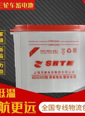 上海天能水电池6DG180-200-220-260-320型电动拉货拉客三轮车电瓶