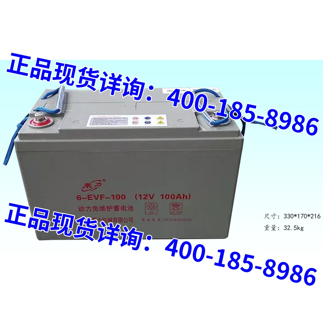 莱力叉车电瓶6-EVF-10012V100AH