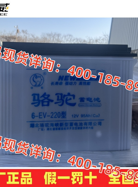 骆驼电瓶6-EV-220型电动拉货三轮车 电动叉车12V95AH铅酸加液电池