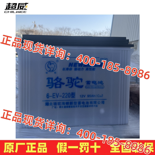 骆驼电瓶6-EV-220型加液12V95AH