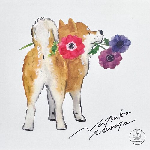 「SHUNA」你看起来很好吃4 日本村田柴犬美食插画原版明信片