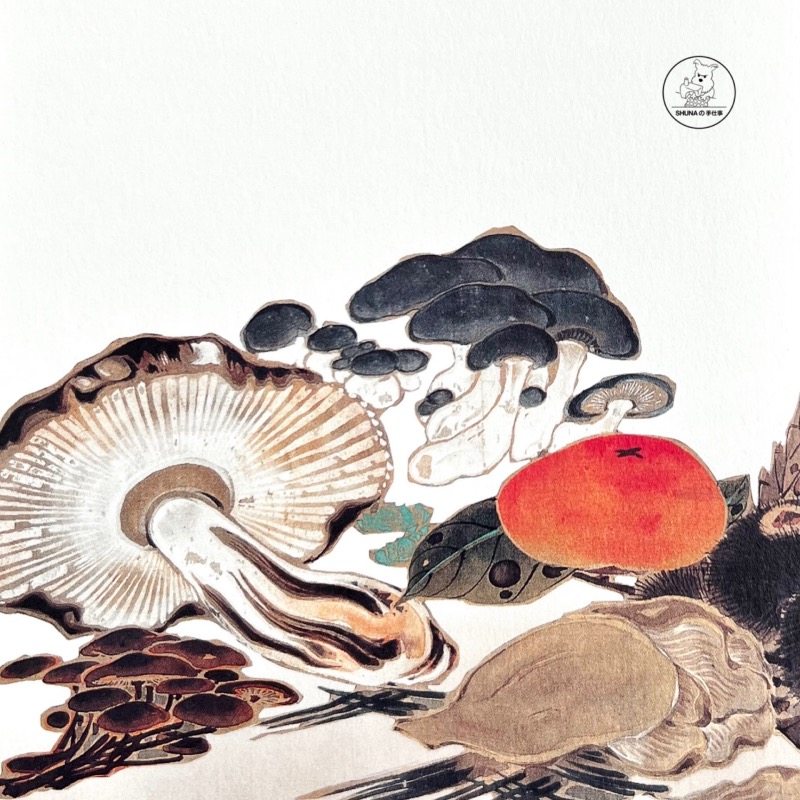 「SHUNA」奇想画师伊藤若冲画集/菜虫谱/日本原版明信片胶带,文具电教/文化用品/商务用品,贺卡/明信片,淘宝优惠券,粉丝福利购,淘宝优惠卷