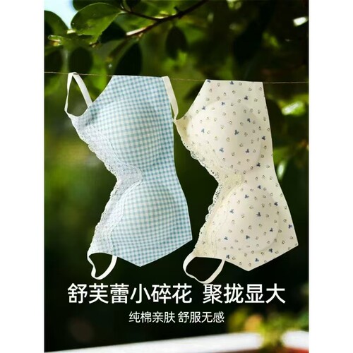 纯棉少女内衣高中大学生小胸聚拢