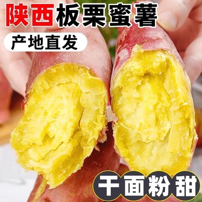 陕西板栗薯正宗临潼粉面红薯新鲜沙地红苕农家自种地瓜番薯山芋