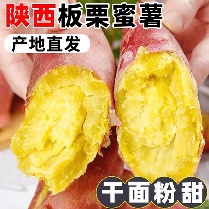 陕西板栗薯正宗临潼粉面红薯新鲜沙地红苕农家自种地瓜番薯山芋