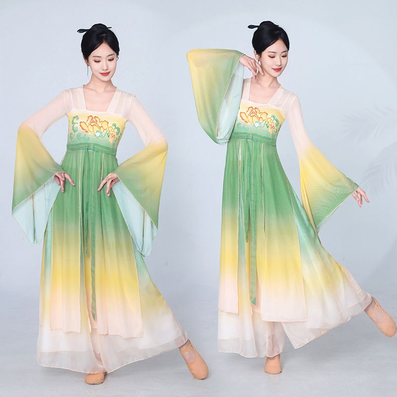 古典舞蹈服女飘逸练功汉