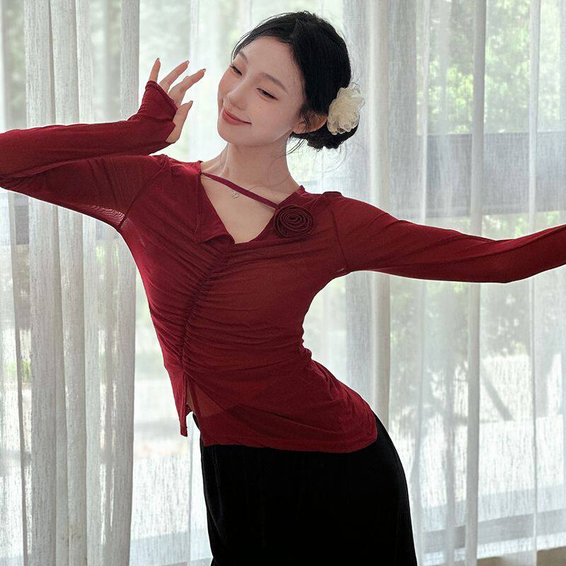 古典舞练功服身韵纱衣中