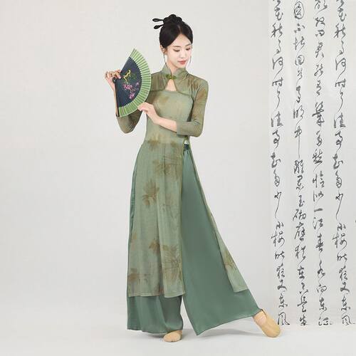 新款古典舞舞蹈飘逸中国