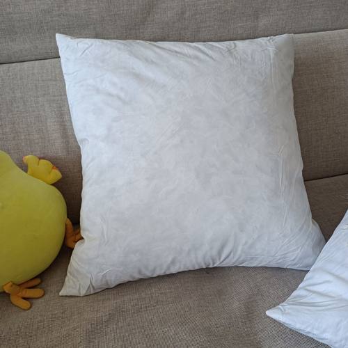 外贸鹅毛片枕芯羽绒羽毛抱枕芯靠垫芯55x55cm慢回弹清仓