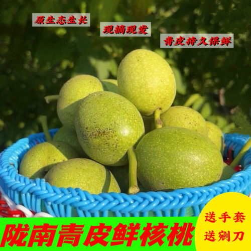 2026年陇南特产成县当季青皮鲜核桃现摘现发孕妇原味零食坚果包邮