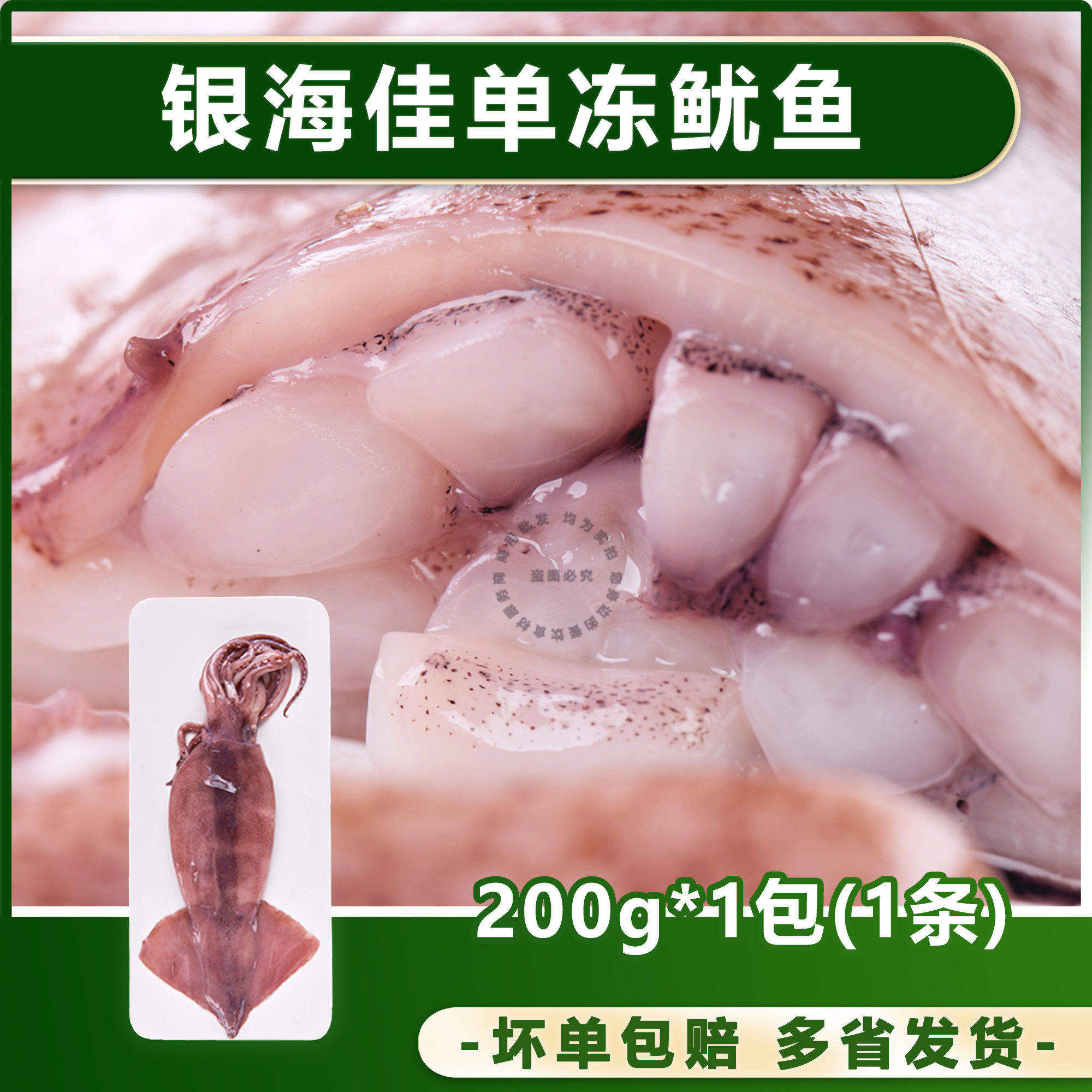 银海佳单冻原只鱿鱼去内脏鱿鱼筒铁板烧烤火锅乌贼商用200g - 实物图
