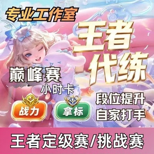 王者荣耀包时陪玩国省市标英雄战力车队小国标排位赛代打