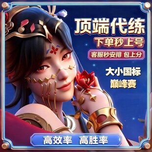 王者荣耀代练陪玩代打专业绝活效率实力车队排位上星赛战力
